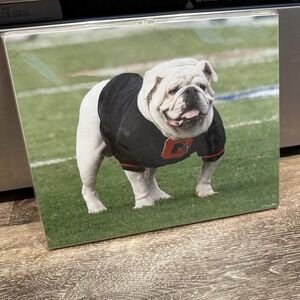 8x10 UGA VI ('99-'08) Photo Wall Art Georgia‎ Football UGA Blackout Game 2007 W